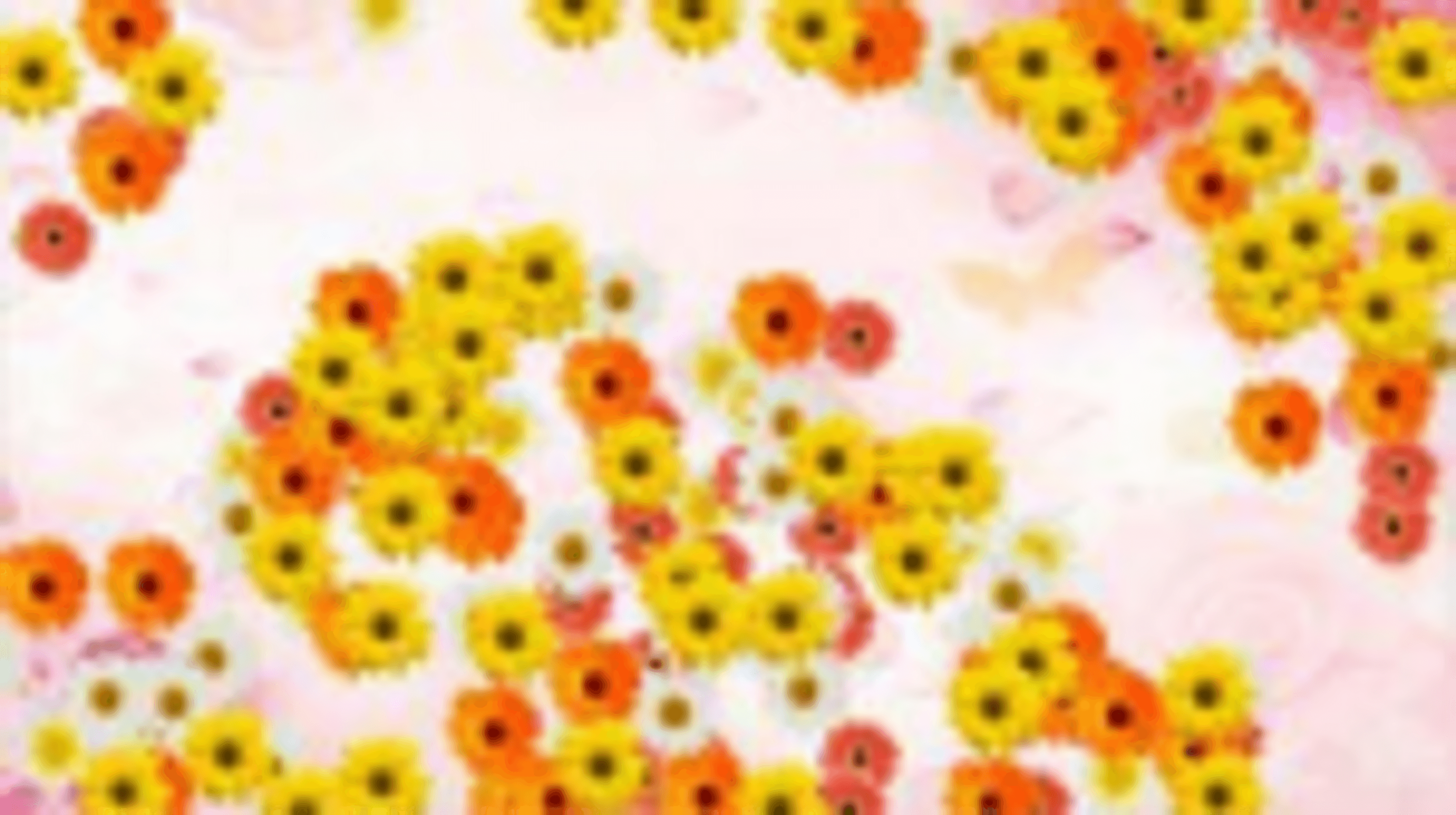 „Gėlių barstymas“